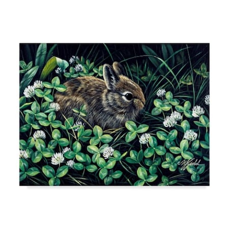 Wilhelm Goebel 'In Clover' Canvas Art,18x24